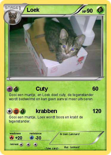 Pokemon Loek