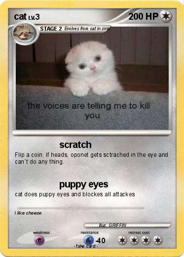Pokemon cat