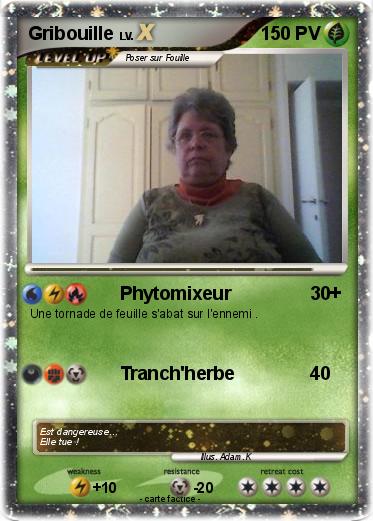 Pokemon Gribouille