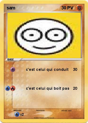 Pokemon sam             