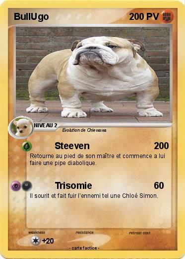 Pokemon BullUgo