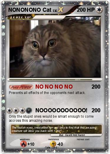 Pokemon NONONONO Cat