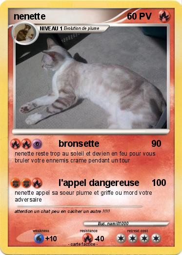 Pokemon nenette