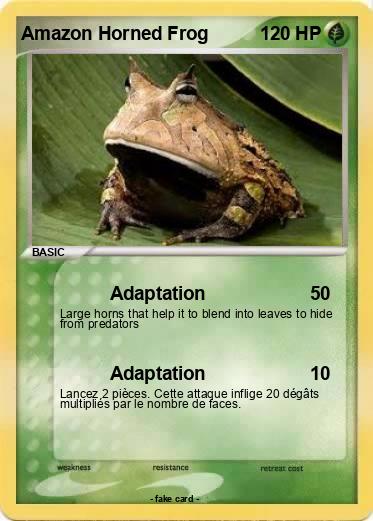 Pokemon Amazon Horned Frog