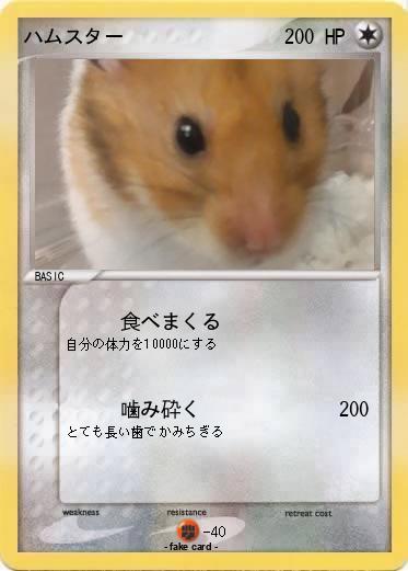 Pokemon ハムスター