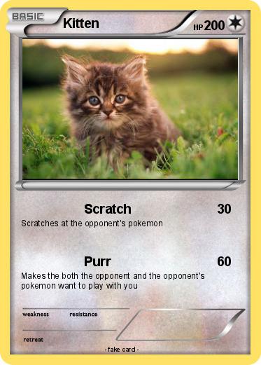 Pokemon Kitten