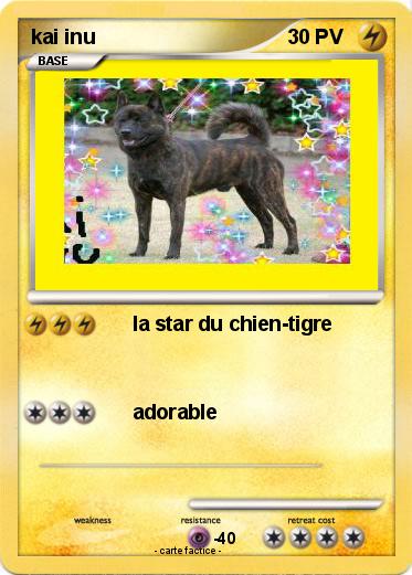 Pokemon kai inu
