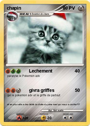 Pokemon chapin