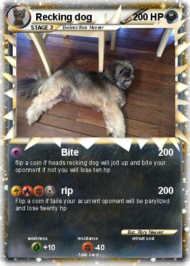 Pokemon Recking dog