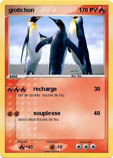 Pokemon grotichon