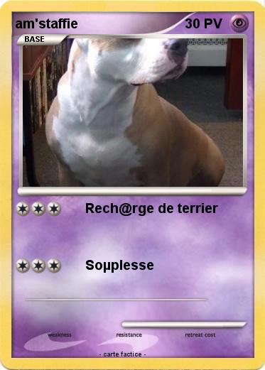 Pokemon am'staffie