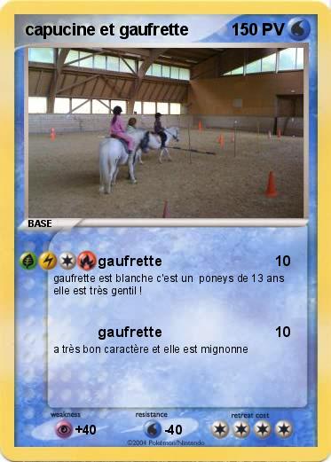 Pokemon capucine et gaufrette