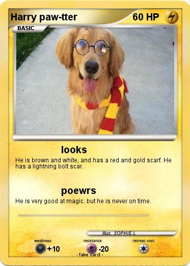 Pokemon Harry paw-tter