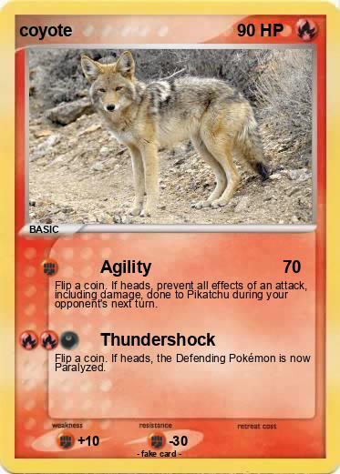 Pokemon coyote