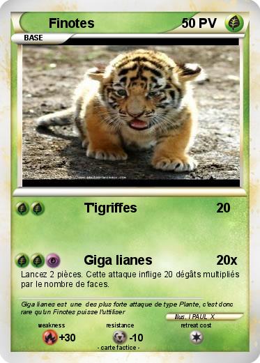 Pokemon Finotes