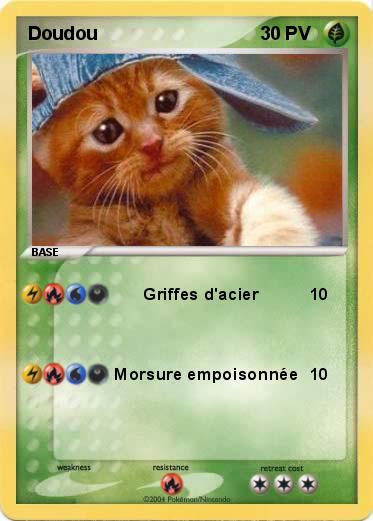 Pokemon Doudou 