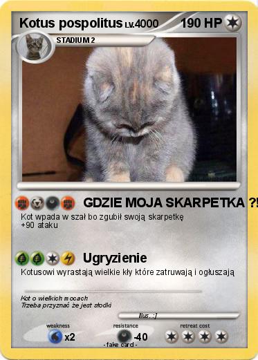 Pokemon Kotus pospolitus