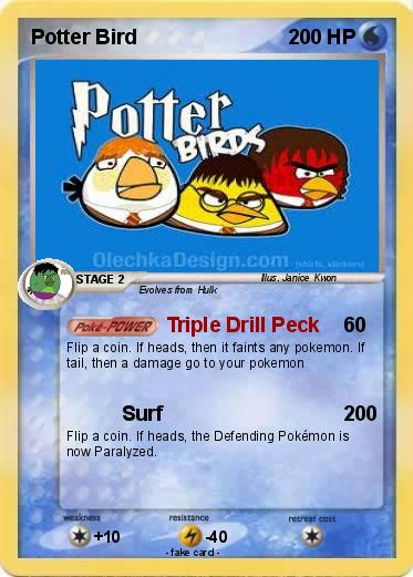Pokemon Potter Bird
