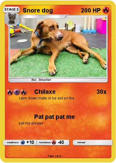Pokemon Snore dog