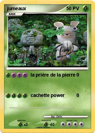 Pokemon jumeaux