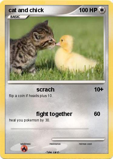 Pokemon cat and chick