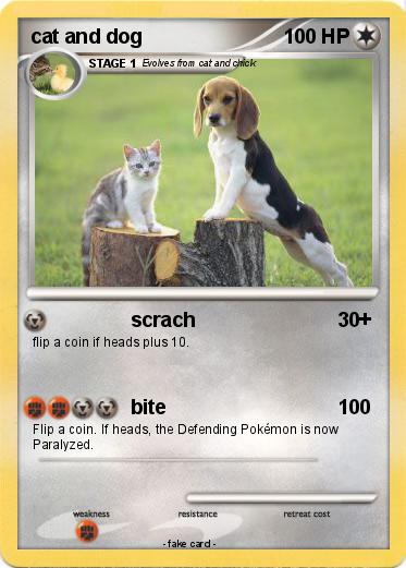 Pokemon cat and dog