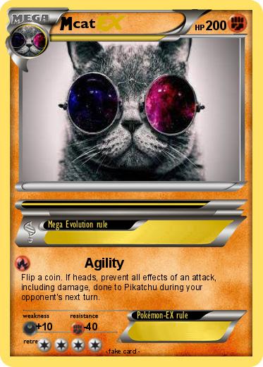 Pokemon cat
