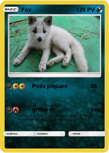 Pokemon Fox