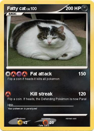 Pokemon Fatty cat