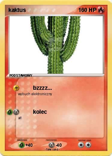 Pokemon kaktus