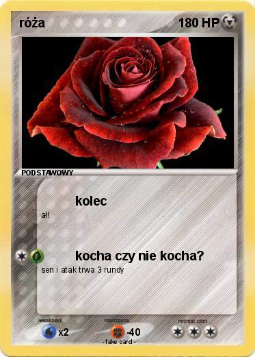 Pokemon róża