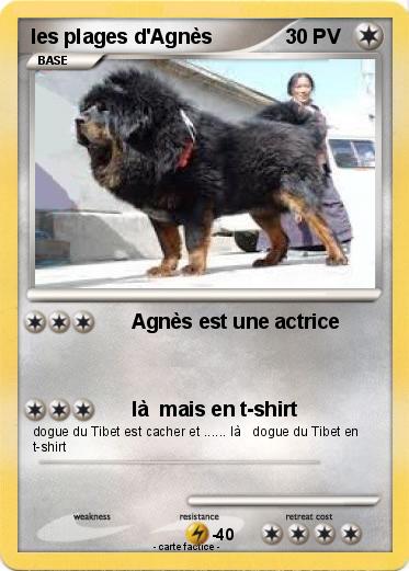 Pokemon les plages d'Agnès