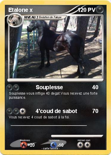 Pokemon Etalone x