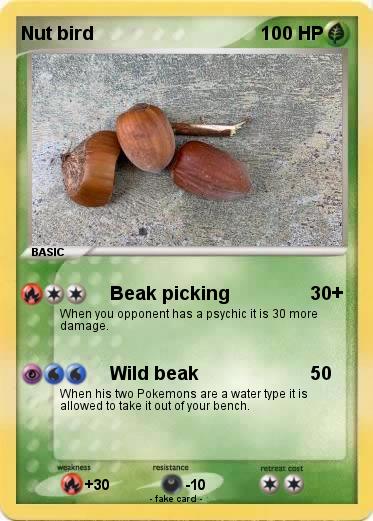 Pokemon Nut bird