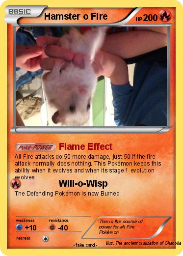 Pokemon Hamster o Fire