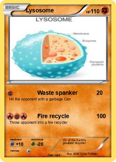 Pokemon Lysosome