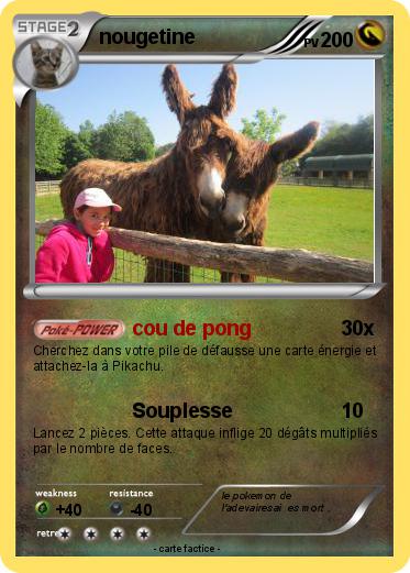 Pokemon nougetine