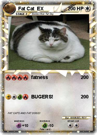 Pokemon Fat Cat  EX