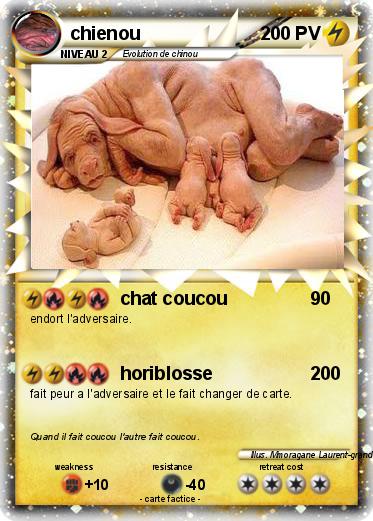 Pokemon chienou
