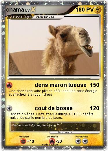 Pokemon chama