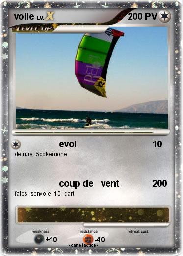 Pokemon voile