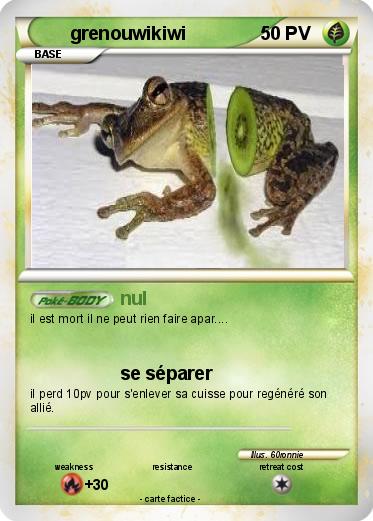 Pokemon grenouwikiwi