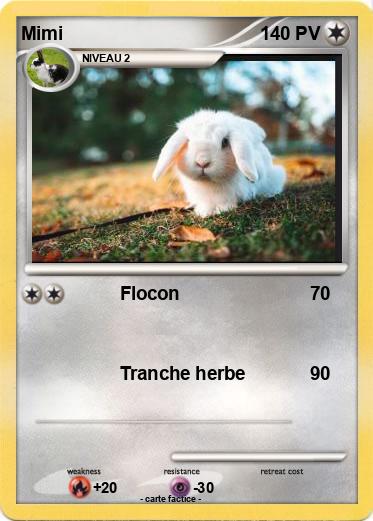 Pokemon Mimi