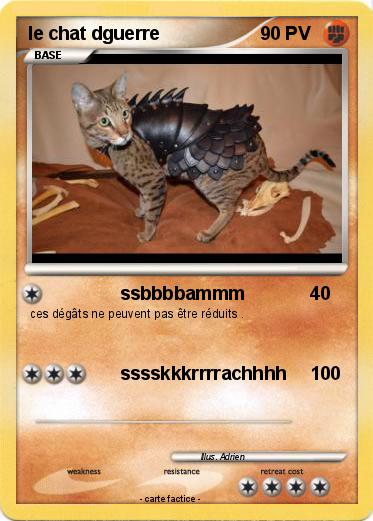 Pokemon le chat dguerre