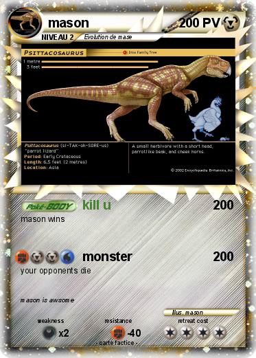 Pokemon mason