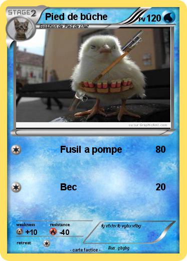 Pokemon Pied de bûche
