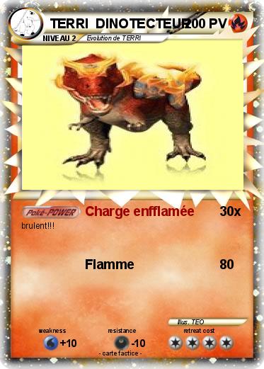 Pokemon TERRI  DINOTECTEUR