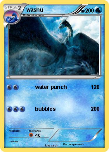Pokemon washu
