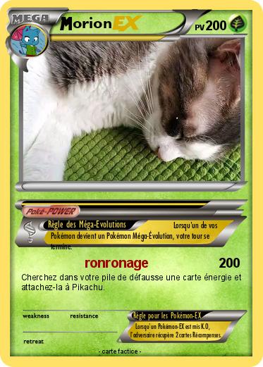 Pokemon orion