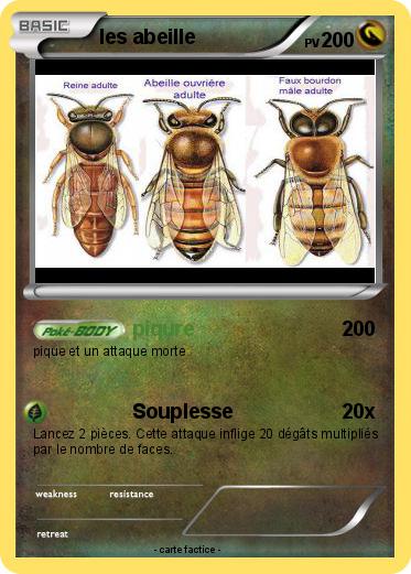 Pokemon les abeille